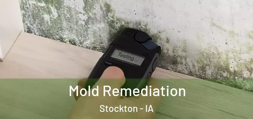 Mold Remediation Stockton - IA