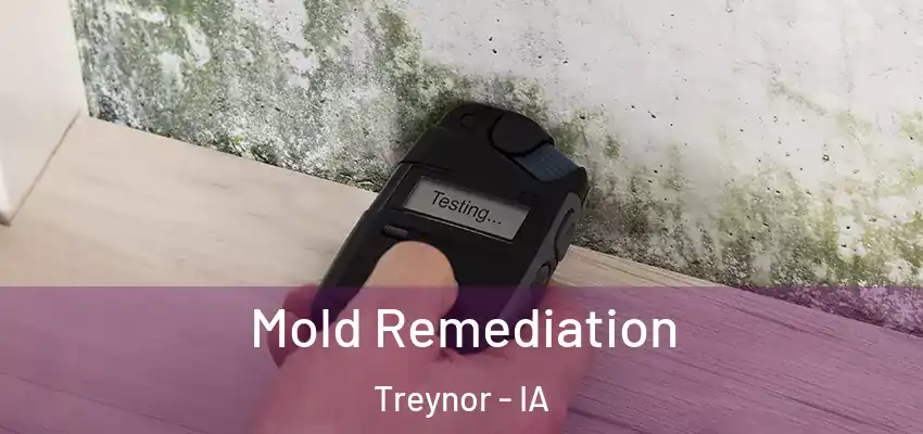  Mold Remediation Treynor - IA
