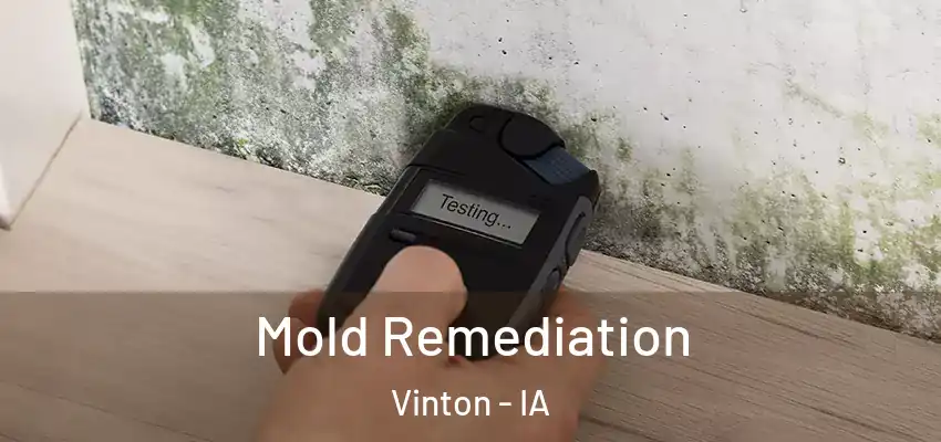  Mold Remediation Vinton - IA