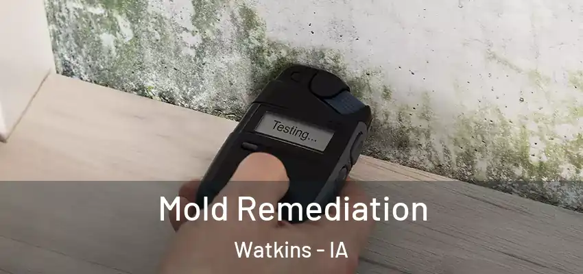  Mold Remediation Watkins - IA