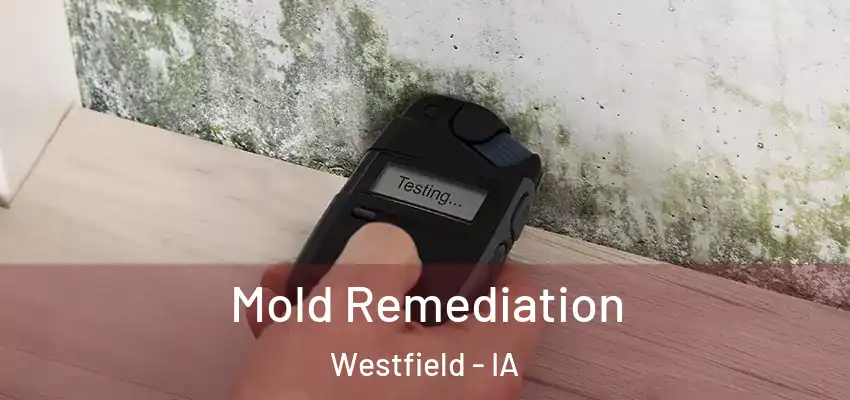  Mold Remediation Westfield - IA