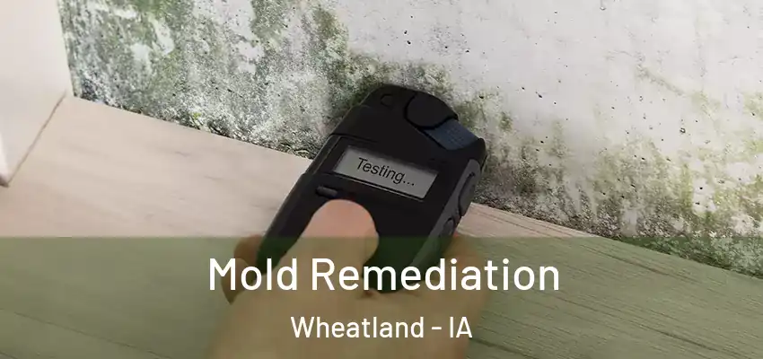 Mold Remediation Wheatland - IA