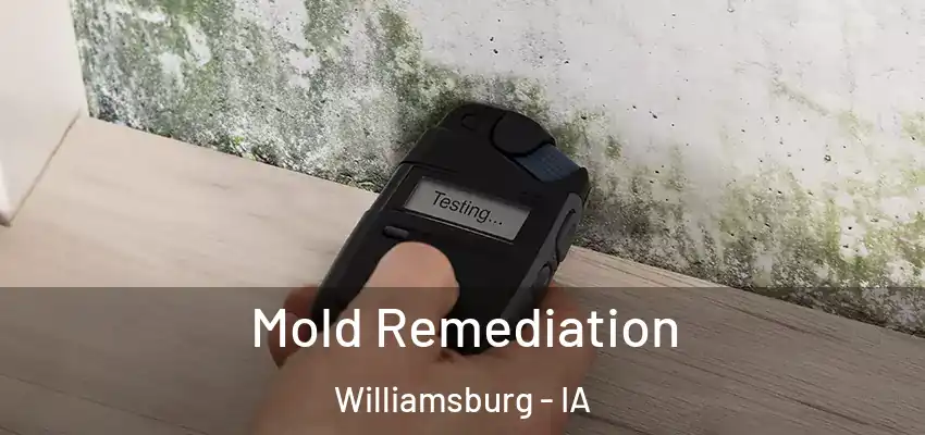  Mold Remediation Williamsburg - IA