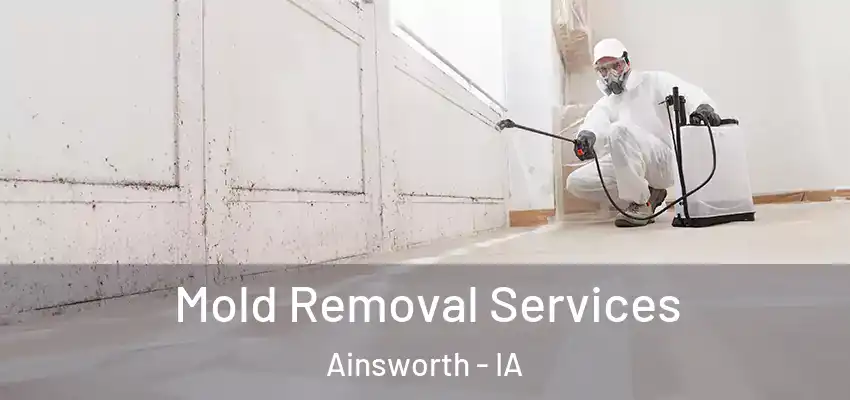 Mold Removal Services Ainsworth - IA