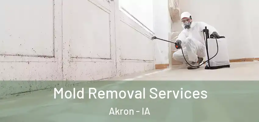Mold Removal Services Akron - IA