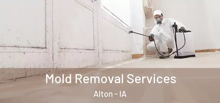 Mold Removal Services Alton - IA
