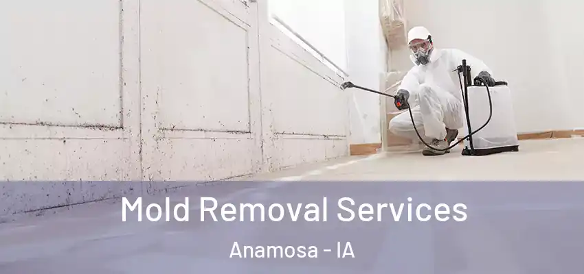 Mold Removal Services Anamosa - IA