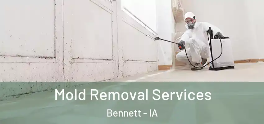 Mold Removal Services Bennett - IA