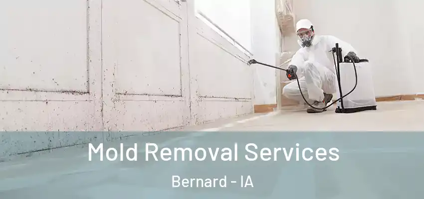 Mold Removal Services Bernard - IA