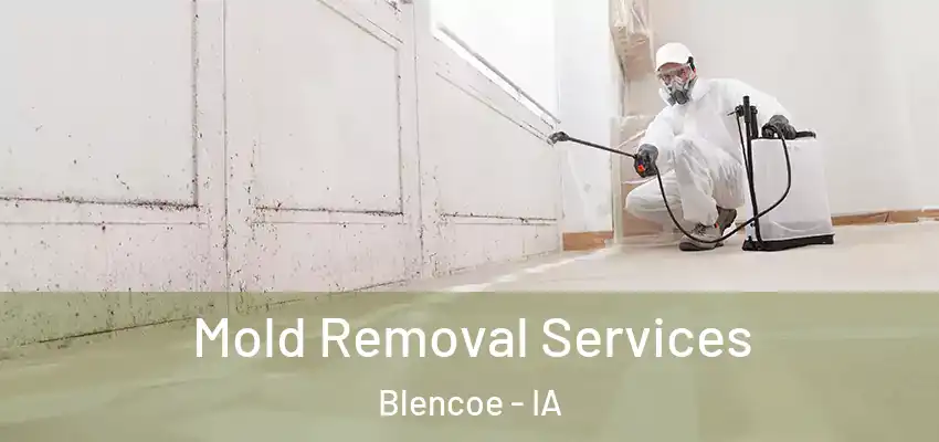 Mold Removal Services Blencoe - IA