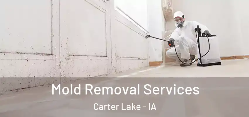Mold Removal Services Carter Lake - IA