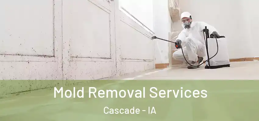 Mold Removal Services Cascade - IA
