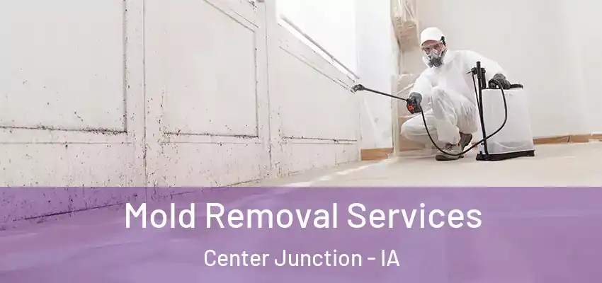 Mold Removal Services Center Junction - IA