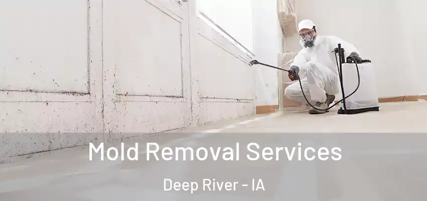 Mold Removal Services Deep River - IA