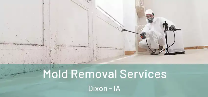  Mold Removal Services Dixon - IA