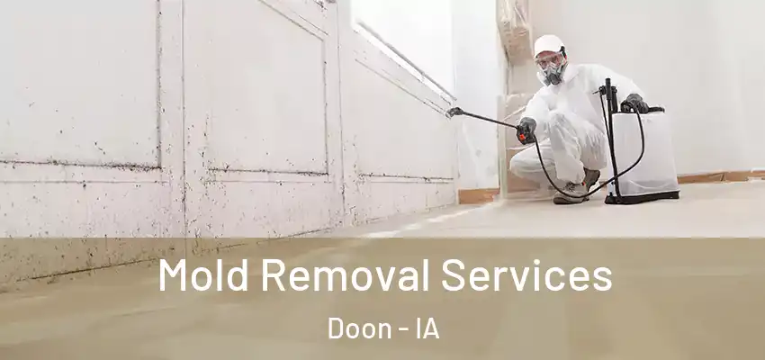 Mold Removal Services Doon - IA