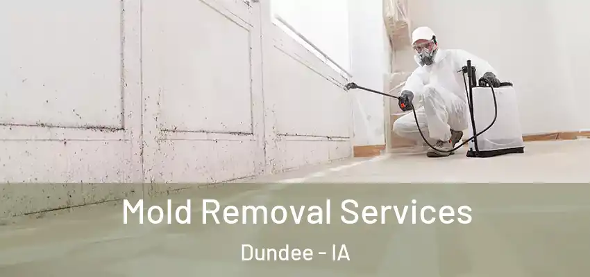 Mold Removal Services Dundee - IA