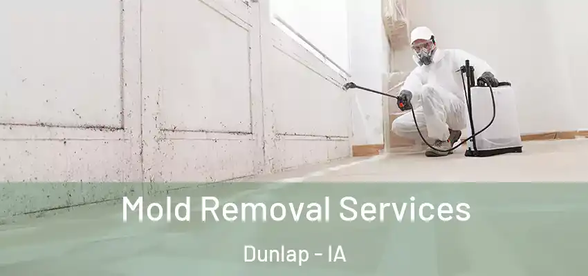  Mold Removal Services Dunlap - IA