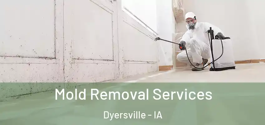 Mold Removal Services Dyersville - IA
