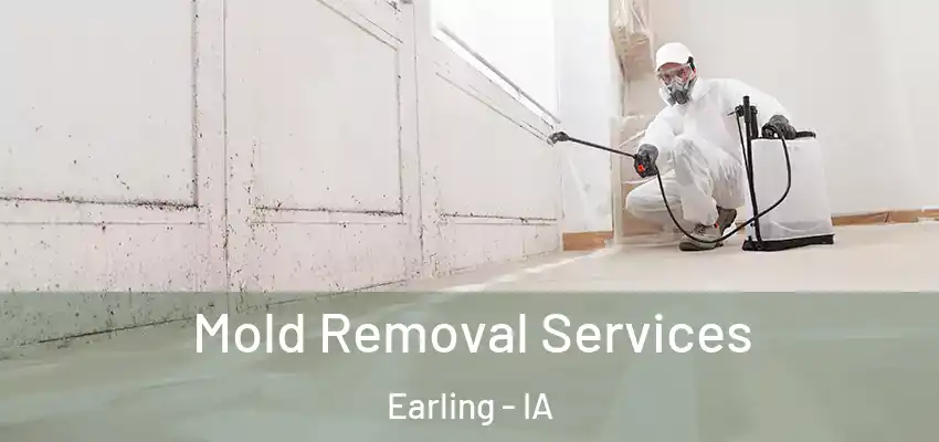  Mold Removal Services Earling - IA