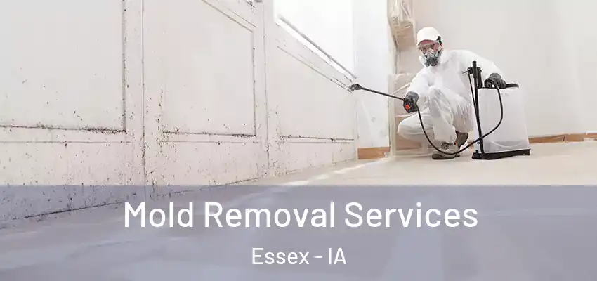  Mold Removal Services Essex - IA