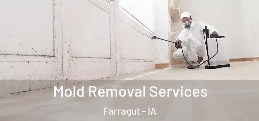 Mold Removal Services Farragut - IA