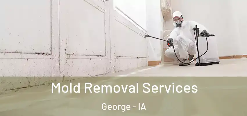  Mold Removal Services George - IA