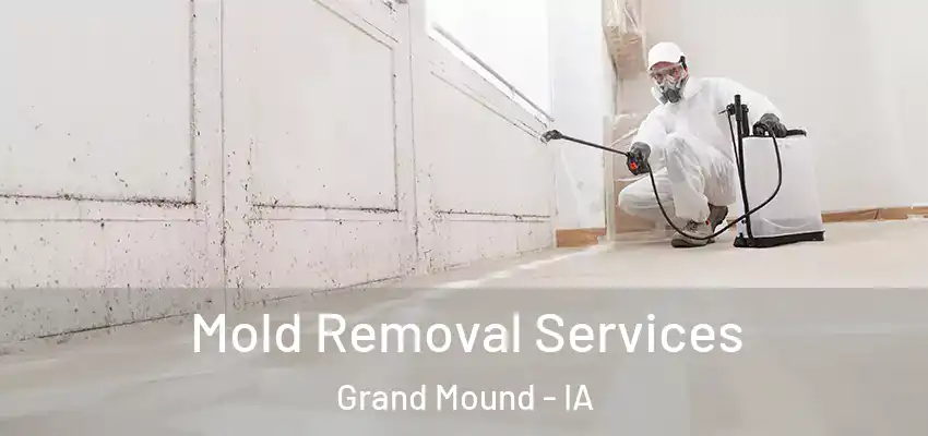  Mold Removal Services Grand Mound - IA