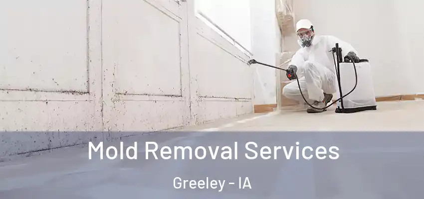 Mold Removal Services Greeley - IA