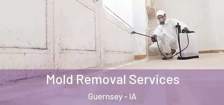 Mold Removal Services Guernsey - IA