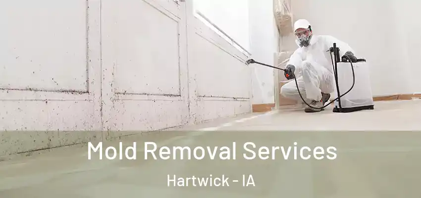  Mold Removal Services Hartwick - IA