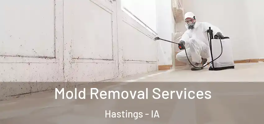  Mold Removal Services Hastings - IA