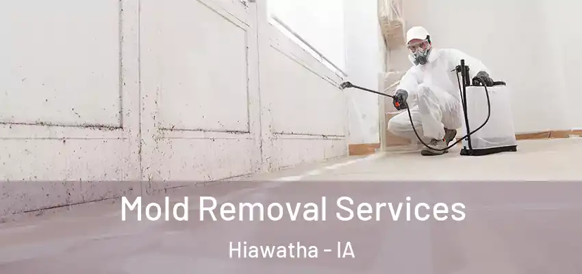  Mold Removal Services Hiawatha - IA