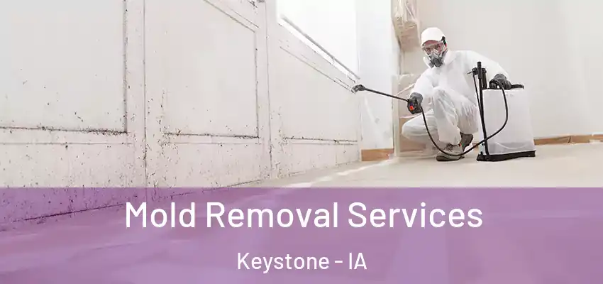  Mold Removal Services Keystone - IA