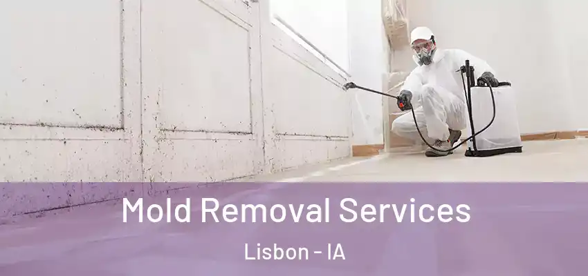 Mold Removal Services Lisbon - IA