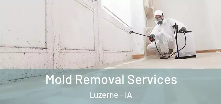  Mold Removal Services Luzerne - IA