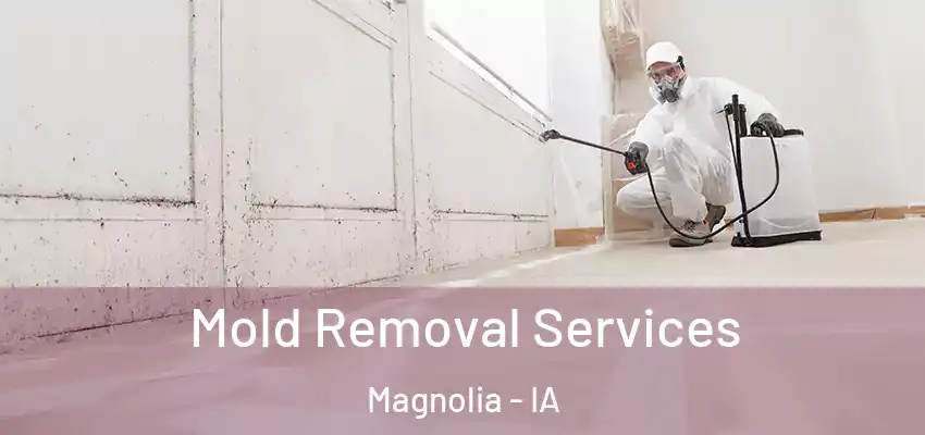 Mold Removal Services Magnolia - IA