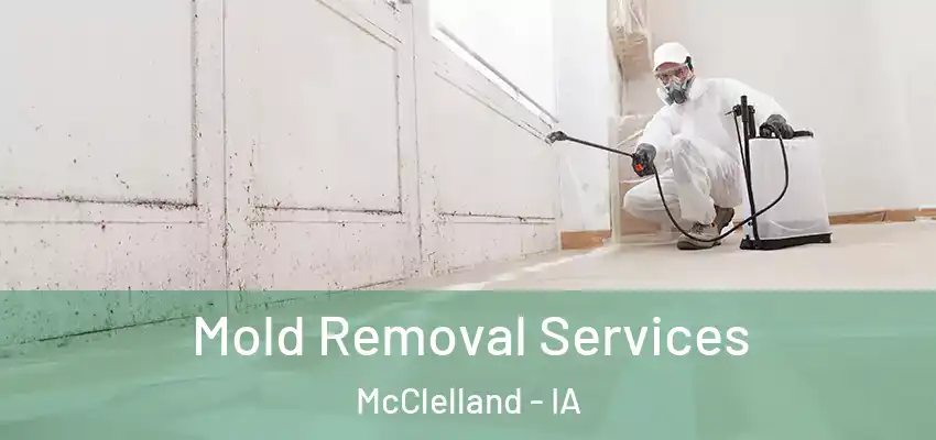 Mold Removal Services McClelland - IA