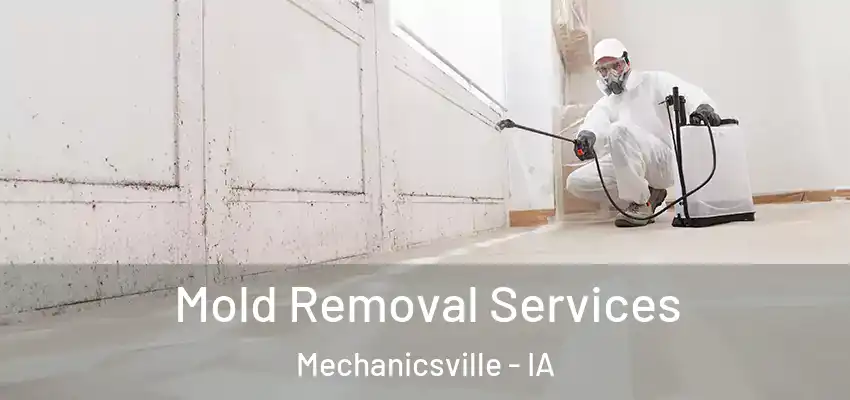Mold Removal Services Mechanicsville - IA