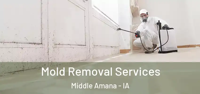  Mold Removal Services Middle Amana - IA
