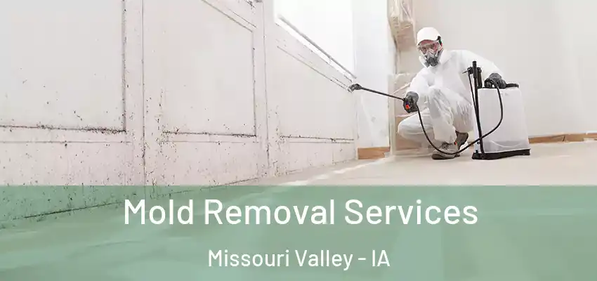  Mold Removal Services Missouri Valley - IA
