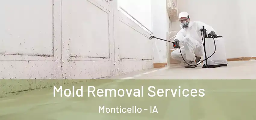 Mold Removal Services Monticello - IA