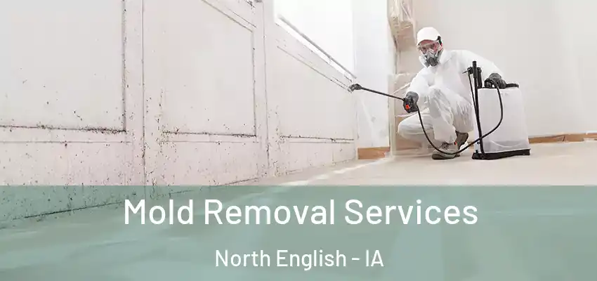 Mold Removal Services North English - IA