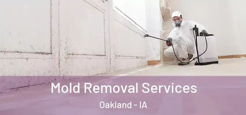  Mold Removal Services Oakland - IA