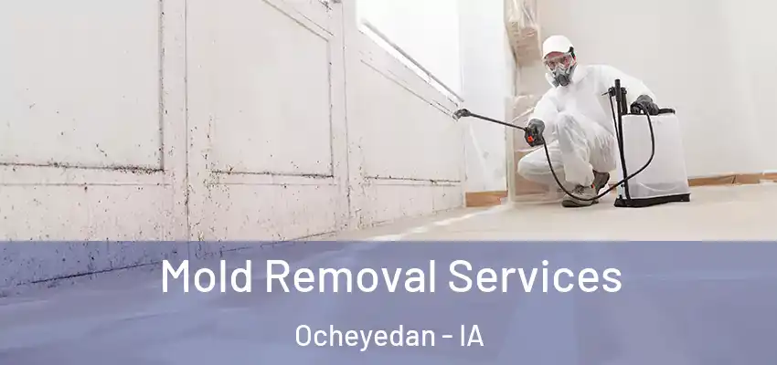  Mold Removal Services Ocheyedan - IA