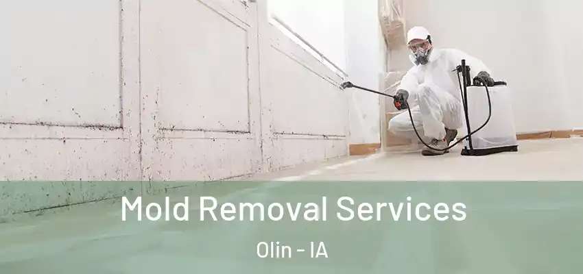 Mold Removal Services Olin - IA