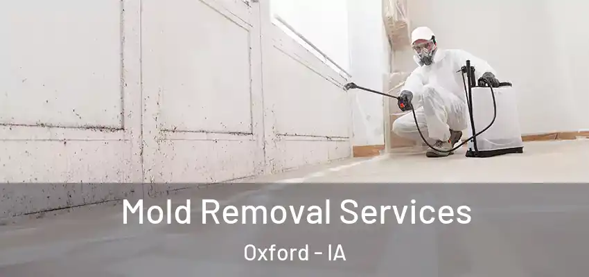 Mold Removal Services Oxford - IA