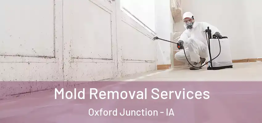 Mold Removal Services Oxford Junction - IA