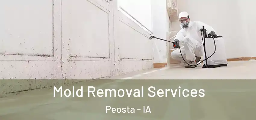  Mold Removal Services Peosta - IA