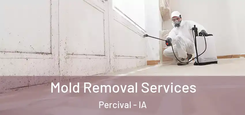  Mold Removal Services Percival - IA